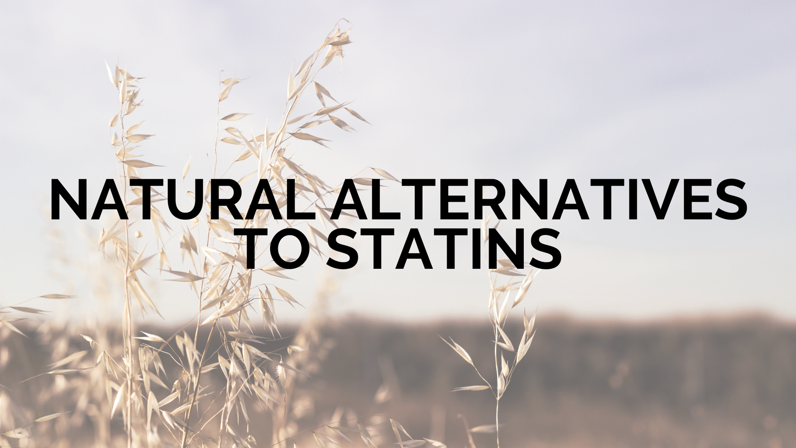 Natural Alternatives to Statins | Blog | Cerabeta