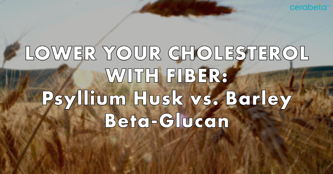 Lower Your Cholesterol with Fiber Psyllium Husk vs. Barley BetaGluca