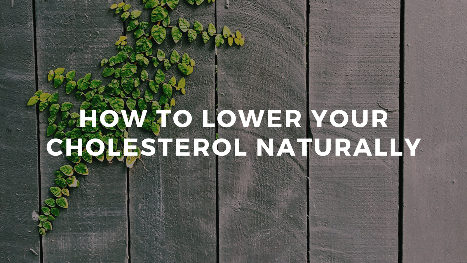 How to Lower your Cholesterol Naturally | Blog | Cerabeta