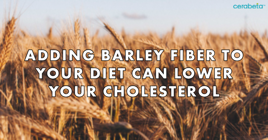 Adding barley fiber to your diet can prevent high cholesterol