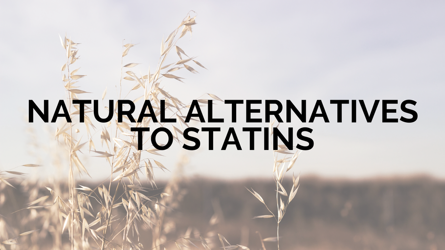 Natural Alternatives to Statins